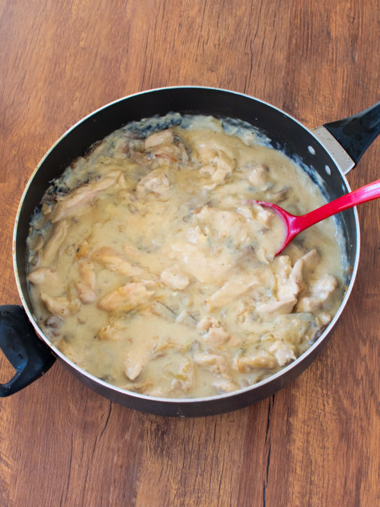 Easy dairy-free chicken stroganoff in a pan with a red serving spoon on a dark wood table